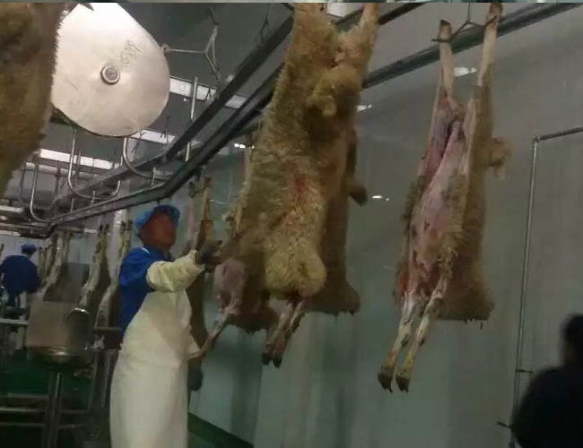 羊預剝線
